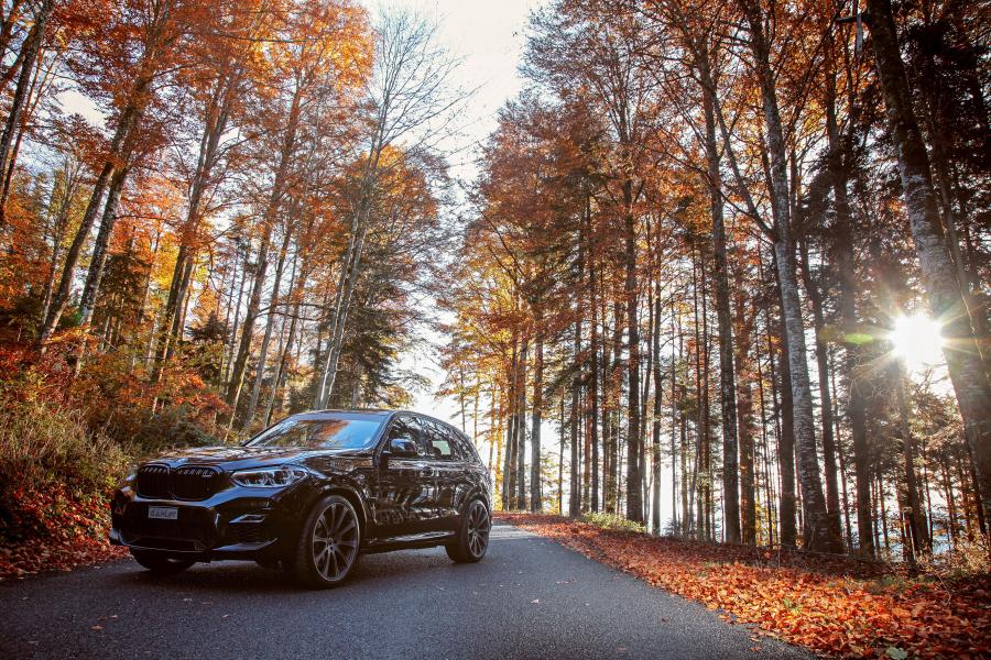  BMW X3 M Competition Line by dAHLer (F97) 2019 года  (фото 27 из 34)